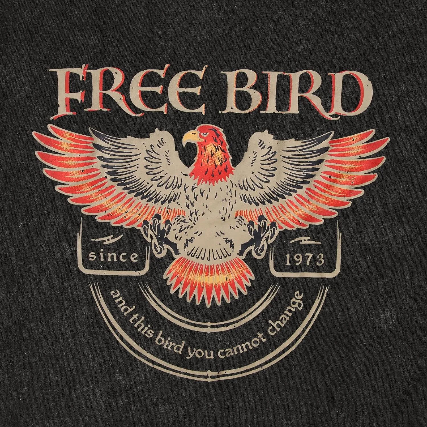 Vintage Rock Band T-Shirts for Women Retro Free Bird Eagle Graphic Country Music Tees Casual Loose Short Sleeve Tops